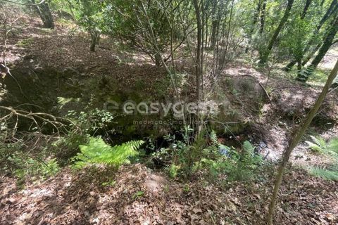 Helårsgrund i Viseu, Viseu, Viseu - € 60.000 | Ref: VS95735 - foto 8