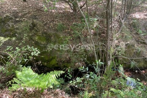 Helårsgrund i Viseu, Viseu, Viseu - € 60.000 | Ref: VS95735 - foto 9