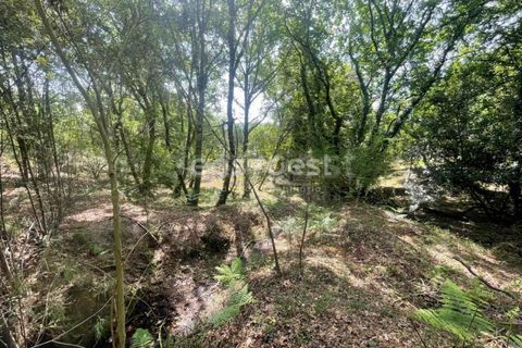 Helårsgrund i Viseu, Viseu, Viseu - € 60.000 | Ref: VS95735 - foto 10