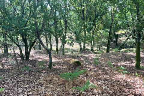 Helårsgrund i Viseu, Viseu, Viseu - € 60.000 | Ref: VS95735 - foto 11