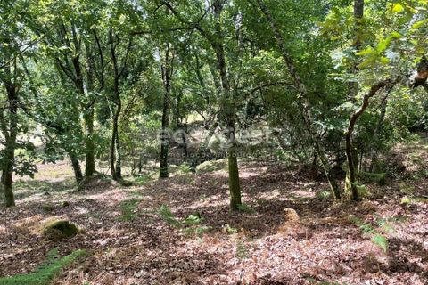 Helårsgrund i Viseu, Viseu, Viseu - € 60.000 | Ref: VS95735 - foto 12
