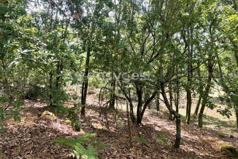 Helårsgrund i Viseu, Viseu, Viseu - € 60.000 | Ref: VS95735 - foto 13