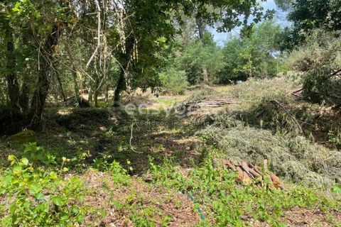 Helårsgrund i Viseu, Viseu, Viseu - € 60.000 | Ref: VS95735 - foto 14