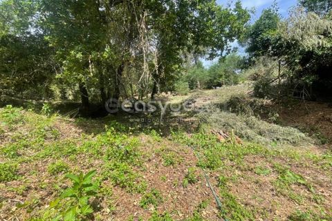 Helårsgrund i Viseu, Viseu, Viseu - € 60.000 | Ref: VS95735 - foto 15