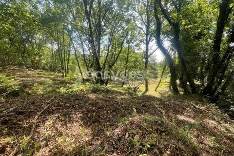 Helårsgrund i Viseu, Viseu, Viseu - € 60.000 | Ref: VS95735 - foto 17