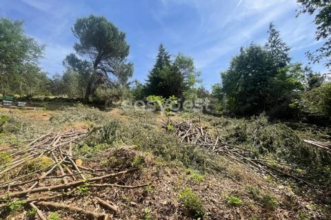 Helårsgrund i Viseu, Viseu, Viseu - € 60.000 | Ref: VS95735 - foto 19
