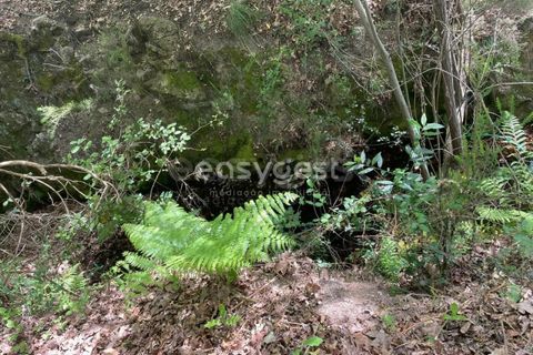 Helårsgrund i Viseu, Viseu, Viseu - € 60.000 | Ref: VS95735 - foto 20