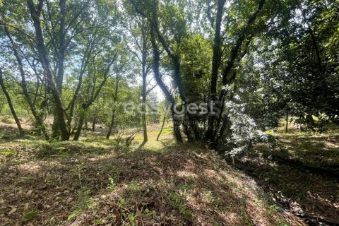 Helårsgrund i Viseu, Viseu, Viseu - € 60.000 | Ref: VS95735 - foto 21
