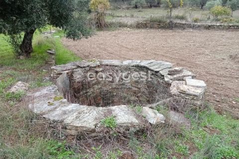 Helårsgrund i Castelo Branco, Castelo Branco, Castelo Branco - € 20.000 | Ref: CB95647MA - foto 1