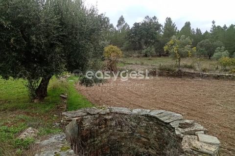 Helårsgrund i Castelo Branco, Castelo Branco, Castelo Branco - € 20.000 | Ref: CB95647MA - foto 2
