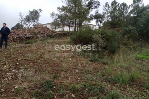 Helårsgrund i Castelo Branco, Castelo Branco, Castelo Branco - € 20.000 | Ref: CB95647MA - foto 3