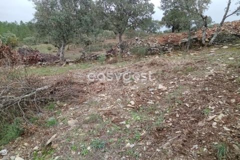 Helårsgrund i Castelo Branco, Castelo Branco, Castelo Branco - € 20.000 | Ref: CB95647MA - foto 4