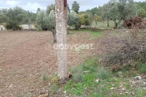 Helårsgrund i Castelo Branco, Castelo Branco, Castelo Branco - € 20.000 | Ref: CB95647MA - foto 6