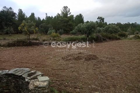 Helårsgrund i Castelo Branco, Castelo Branco, Castelo Branco - € 20.000 | Ref: CB95647MA - foto 7