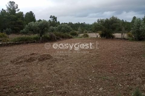 Helårsgrund i Castelo Branco, Castelo Branco, Castelo Branco - € 20.000 | Ref: CB95647MA - foto 8