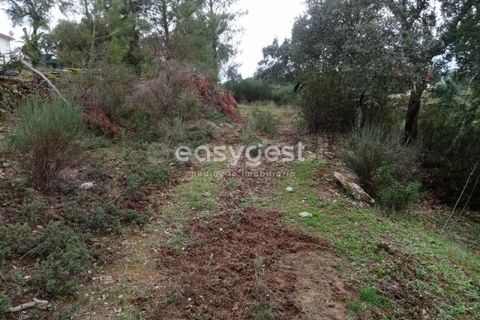 Helårsgrund i Castelo Branco, Castelo Branco, Castelo Branco - € 20.000 | Ref: CB95647MA - foto 9