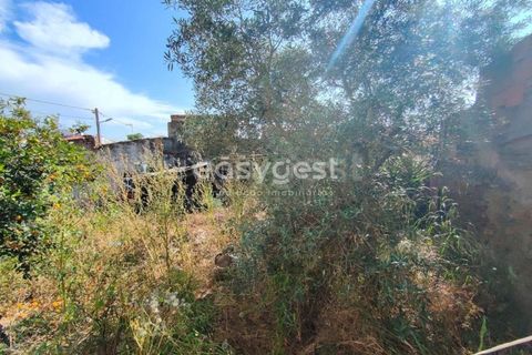 Villa a Vidigueira, Beja, Vidigueira - € 44.000 | Ref: BJ95586 - foto 11