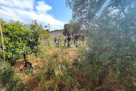 Villa a Vidigueira, Beja, Vidigueira - € 44.000 | Ref: BJ95586 - foto 14