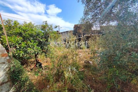 Villa a Vidigueira, Beja, Vidigueira - € 44.000 | Ref: BJ95586 - foto 15