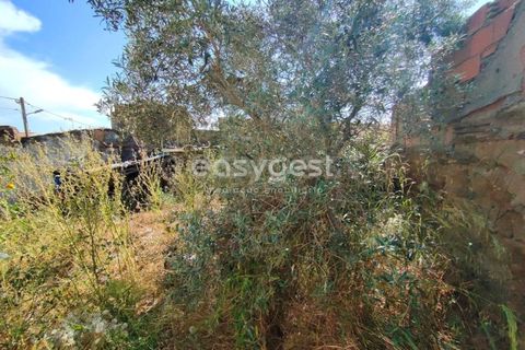 Villa a Vidigueira, Beja, Vidigueira - € 44.000 | Ref: BJ95586 - foto 18