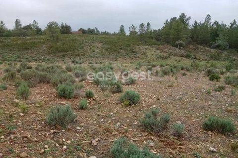 Helårsgrund i Castelo Branco, Castelo Branco, Castelo Branco - € 30.000 | Ref: CB95416MA - foto 2