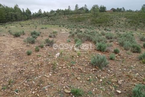 Helårsgrund i Castelo Branco, Castelo Branco, Castelo Branco - € 30.000 | Ref: CB95416MA - foto 3