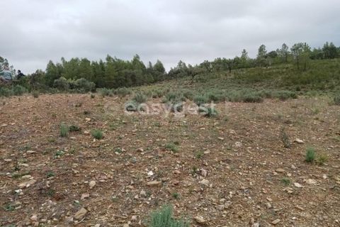 Helårsgrund i Castelo Branco, Castelo Branco, Castelo Branco - € 30.000 | Ref: CB95416MA - foto 4
