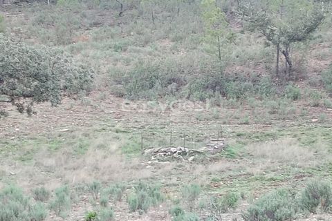 Helårsgrund i Castelo Branco, Castelo Branco, Castelo Branco - € 30.000 | Ref: CB95416MA - foto 5