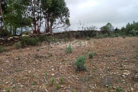 Helårsgrund i Castelo Branco, Castelo Branco, Castelo Branco - € 30.000 | Ref: CB95416MA - foto 6