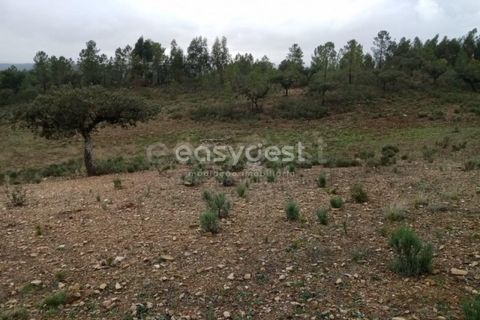 Helårsgrund i Castelo Branco, Castelo Branco, Castelo Branco - € 30.000 | Ref: CB95416MA - foto 7