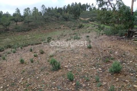 Helårsgrund i Castelo Branco, Castelo Branco, Castelo Branco - € 30.000 | Ref: CB95416MA - foto 8