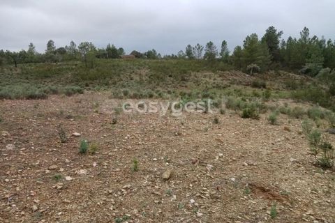 Helårsgrund i Castelo Branco, Castelo Branco, Castelo Branco - € 30.000 | Ref: CB95416MA - foto 9