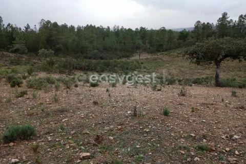 Helårsgrund i Castelo Branco, Castelo Branco, Castelo Branco - € 30.000 | Ref: CB95416MA - foto 11