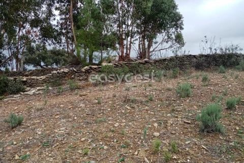 Helårsgrund i Castelo Branco, Castelo Branco, Castelo Branco - € 30.000 | Ref: CB95416MA - foto 12