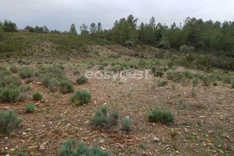 Helårsgrund i Castelo Branco, Castelo Branco, Castelo Branco - € 30.000 | Ref: CB95416MA - foto 13
