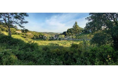 Helårsgrund i Coimbra, Coimbra, Coimbra - € 147.500 | Ref: RR95384 - foto 3