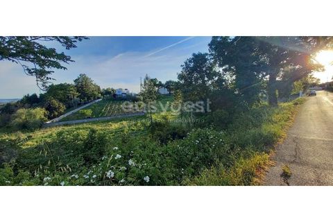 Helårsgrund i Coimbra, Coimbra, Coimbra - € 147.500 | Ref: RR95384 - foto 4