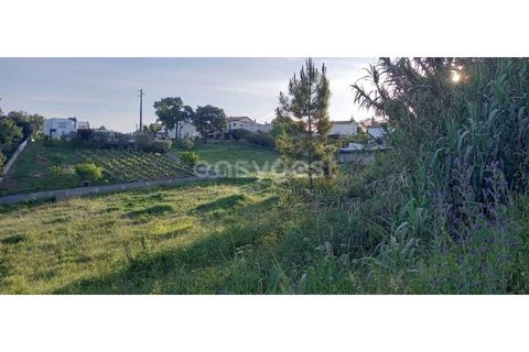 Helårsgrund i Coimbra, Coimbra, Coimbra - € 147.500 | Ref: RR95384 - foto 7