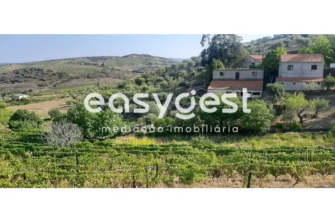 Farm i Torre de Moncorvo, Braganca, Torre de Moncorvo - € 400.000 | Ref: BG89277MG - foto 1