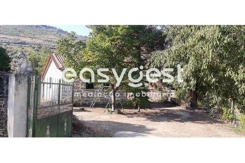 Farm i Torre de Moncorvo, Braganca, Torre de Moncorvo - € 400.000 | Ref: BG89277MG - foto 3