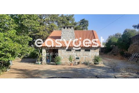 Farm i Torre de Moncorvo, Braganca, Torre de Moncorvo - € 400.000 | Ref: BG89277MG - foto 4