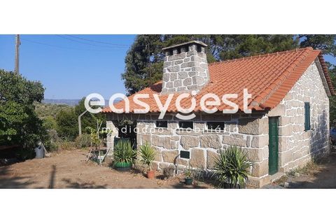 Farm i Torre de Moncorvo, Braganca, Torre de Moncorvo - € 400.000 | Ref: BG89277MG - foto 5