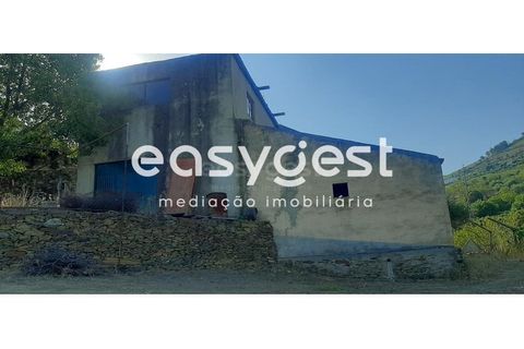Farm i Torre de Moncorvo, Braganca, Torre de Moncorvo - € 400.000 | Ref: BG89277MG - foto 9