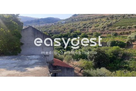 Farm i Torre de Moncorvo, Braganca, Torre de Moncorvo - € 400.000 | Ref: BG89277MG - foto 18