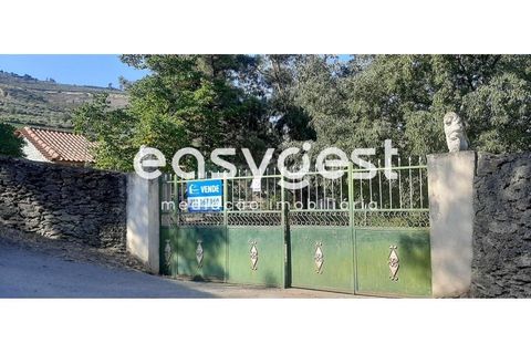 Farm i Torre de Moncorvo, Braganca, Torre de Moncorvo - € 400.000 | Ref: BG89277MG - foto 30