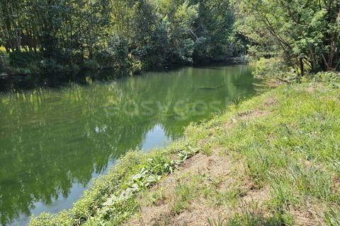 Helårsgrund i Arganil, Coimbra, Arganil - € 29.500 | Ref: RR96415 - foto 3