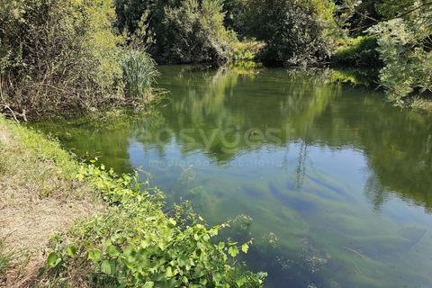 Helårsgrund i Arganil, Coimbra, Arganil - € 29.500 | Ref: RR96415 - foto 7