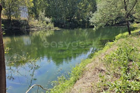Helårsgrund i Arganil, Coimbra, Arganil - € 29.500 | Ref: RR96415 - foto 8