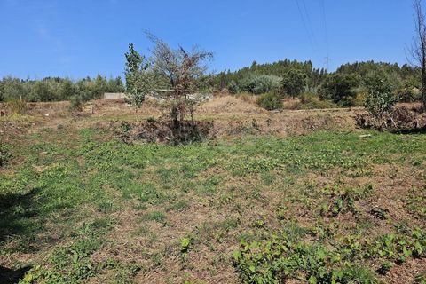 Helårsgrund i Arganil, Coimbra, Arganil - € 29.500 | Ref: RR96415 - foto 9