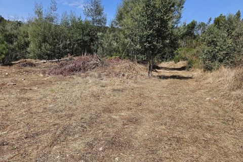 Helårsgrund i Arganil, Coimbra, Arganil - € 29.500 | Ref: RR96415 - foto 12